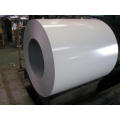 Prepainted Steel Coil, PPGI, Galvanized Steel Sheet